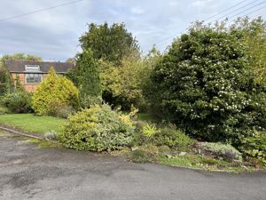 Photo 19- click for photo gallery